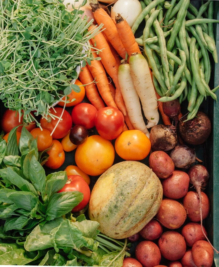 web-630_stocksy_comp_87498_1-1